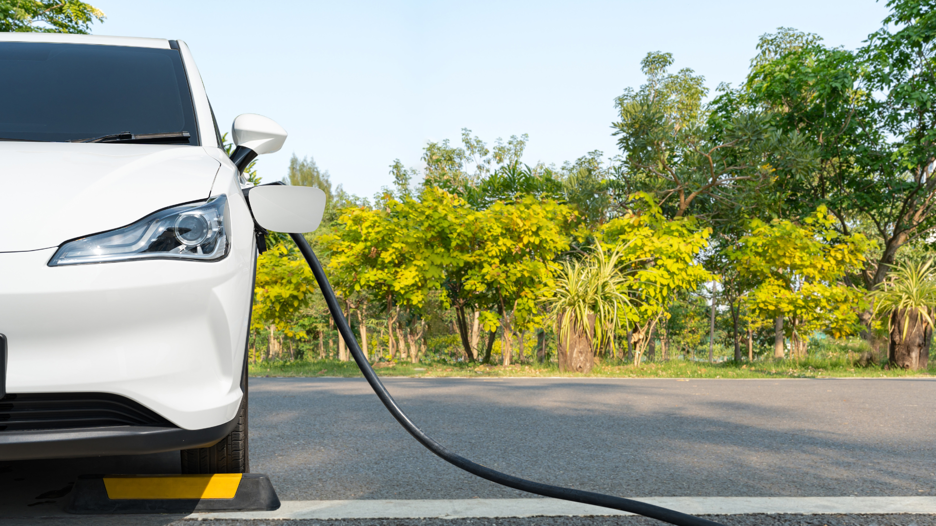 car plugged in parking lot with trees