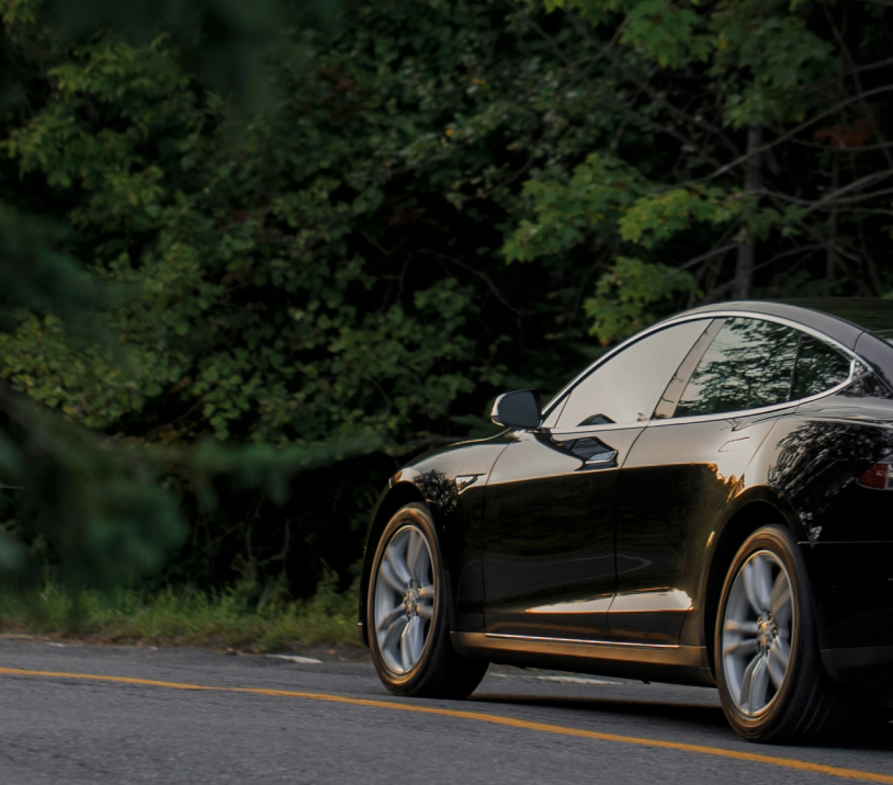 car driving through the woods